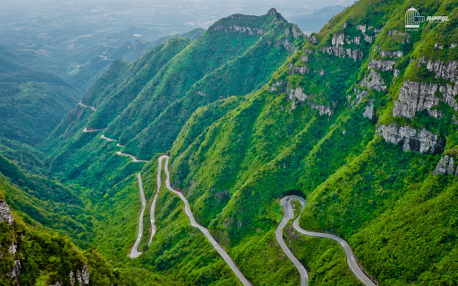 Melhores destinos para 2025