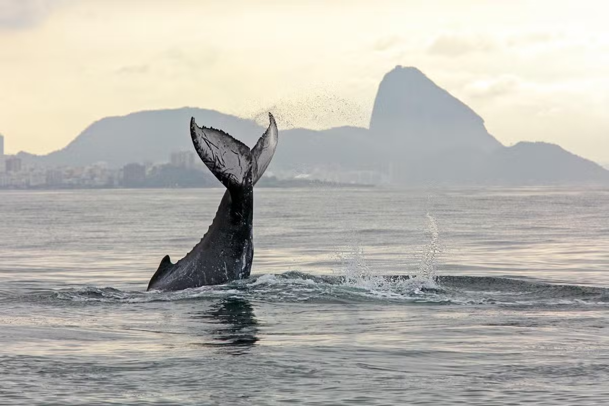 Melhores destinos para 2025